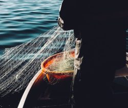 pesca